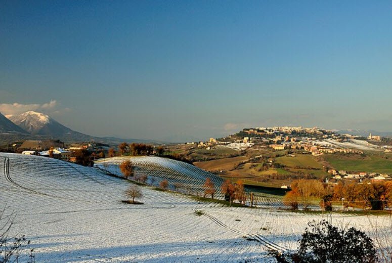 Arboretum Apenninicum, Italy, Italy